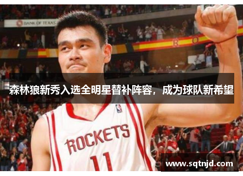 森林狼新秀入选全明星替补阵容，成为球队新希望