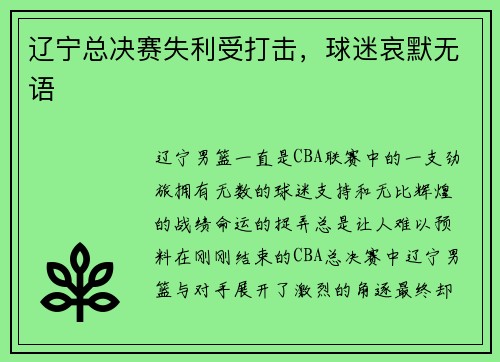 辽宁总决赛失利受打击，球迷哀默无语