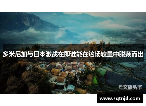 多米尼加与日本激战在即谁能在这场较量中脱颖而出