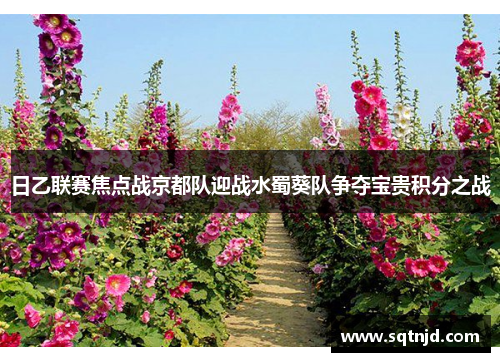 日乙联赛焦点战京都队迎战水蜀葵队争夺宝贵积分之战