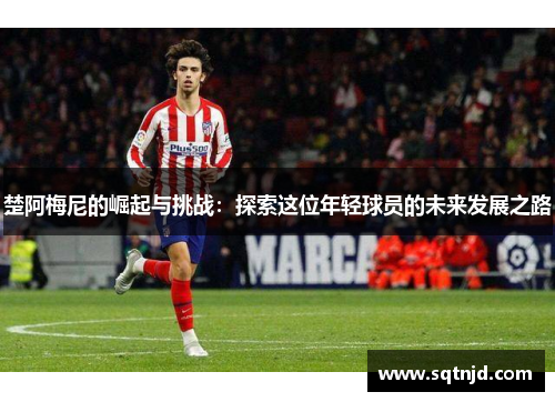 楚阿梅尼的崛起与挑战：探索这位年轻球员的未来发展之路
