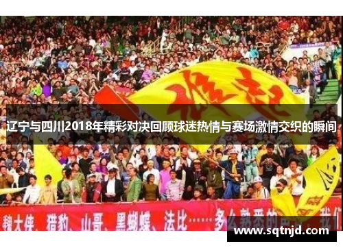 辽宁与四川2018年精彩对决回顾球迷热情与赛场激情交织的瞬间