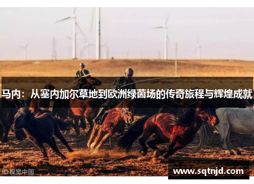 马内：从塞内加尔草地到欧洲绿茵场的传奇旅程与辉煌成就