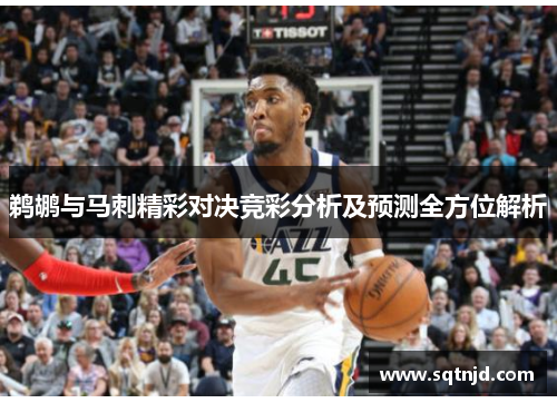 鹈鹕与马刺精彩对决竞彩分析及预测全方位解析
