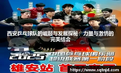 球速体育官方网站