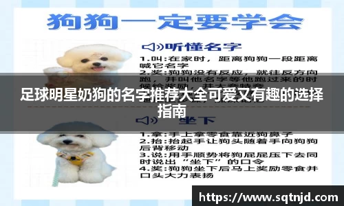 球速体育官方网站